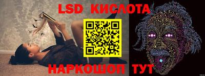 крисы Тверь