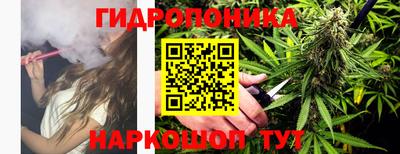 шишки Татарск