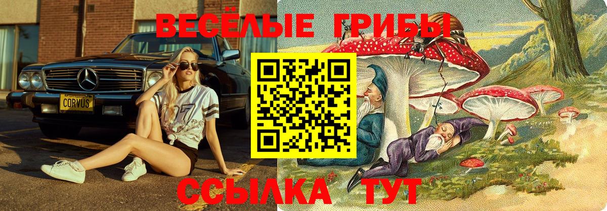 Галлюциногенные грибы мицелий Ангарск